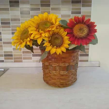 Casa Dei Girasoli Сasa de vacaciones